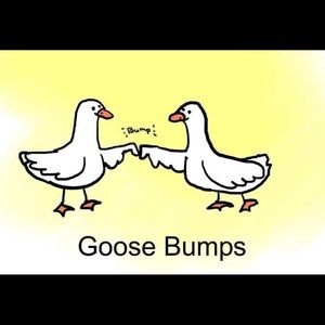 Meet your Posher, Kam